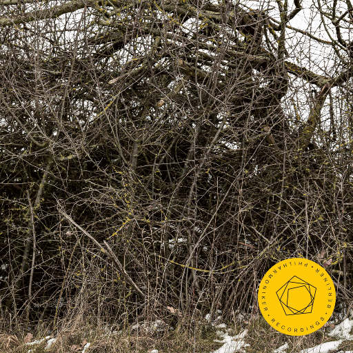 色五月天亚州色图
